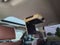 2015 Chevrolet Silverado 2500HD Built After Aug 14 High Country