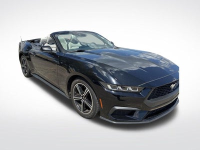 2024 Ford Mustang EcoBoost Premium