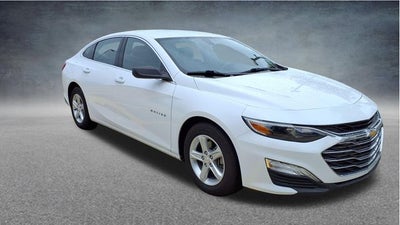 2019 Chevrolet Malibu LS 1FL
