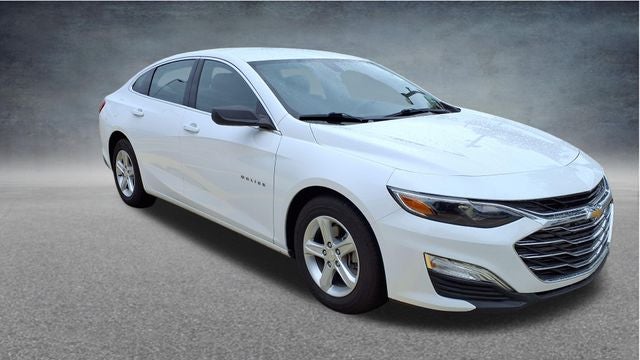 2019 Chevrolet Malibu LS 1FL