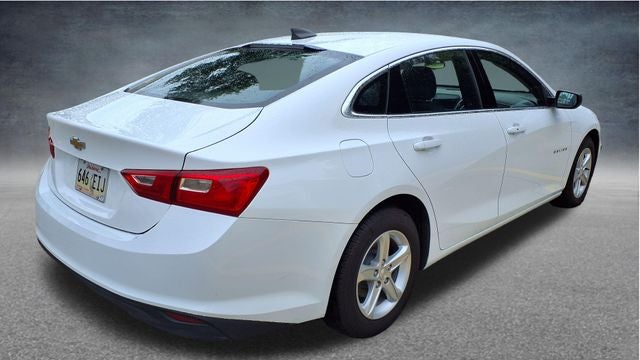 2019 Chevrolet Malibu LS 1FL