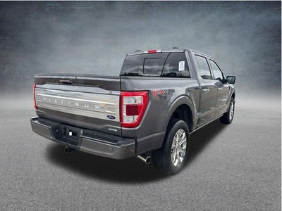 2023 Ford F-150 Platinum
